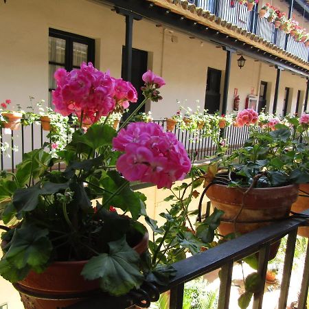 Apartamento Alameda Daire Sevilla Dış mekan fotoğraf