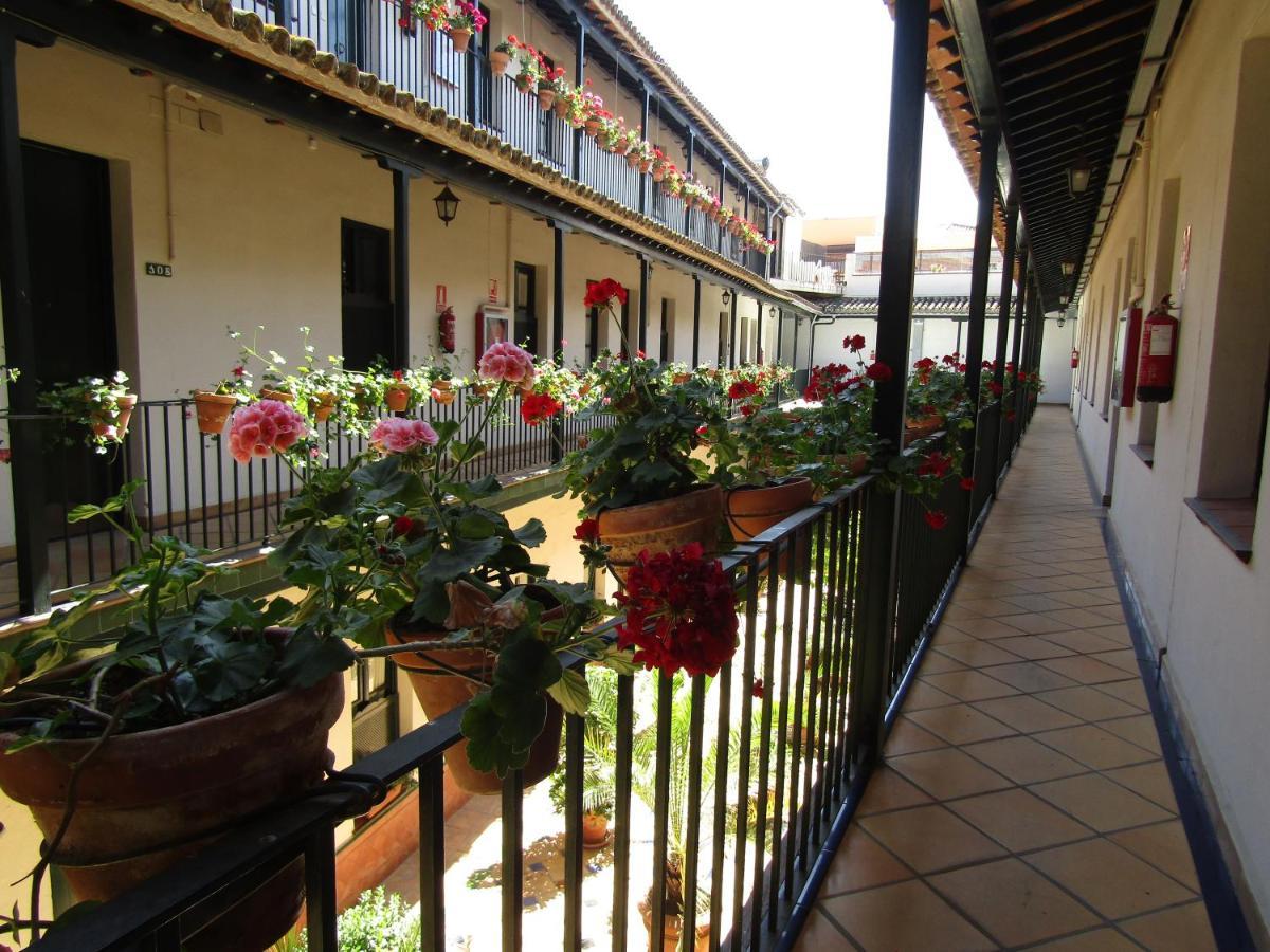 Apartamento Alameda Daire Sevilla Dış mekan fotoğraf